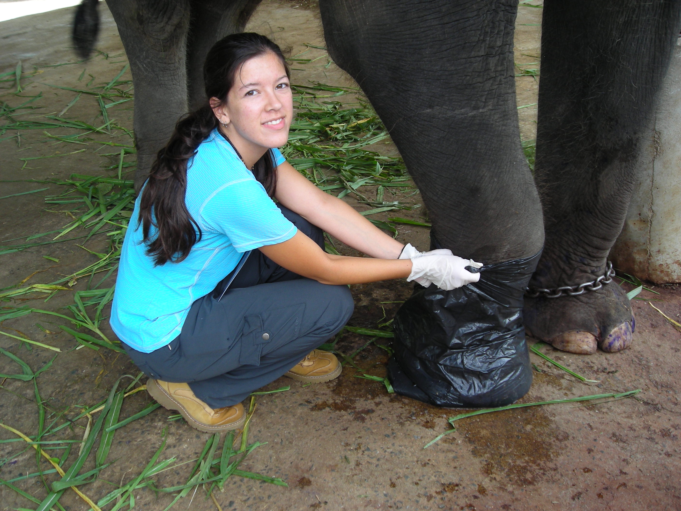 Thailand Elephant Camp Chiang Mai Feet