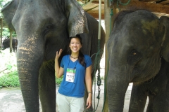 Thailand Elephant Camp Chiang Mai Two Friends