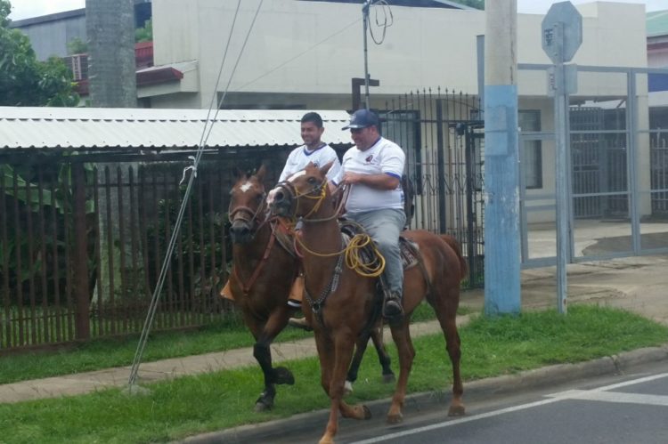 Horses in San Jose Costa Rica