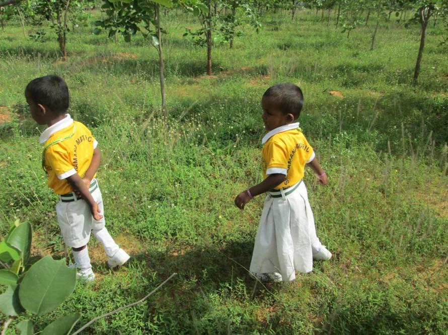 India Teaching Volunteer Wandering