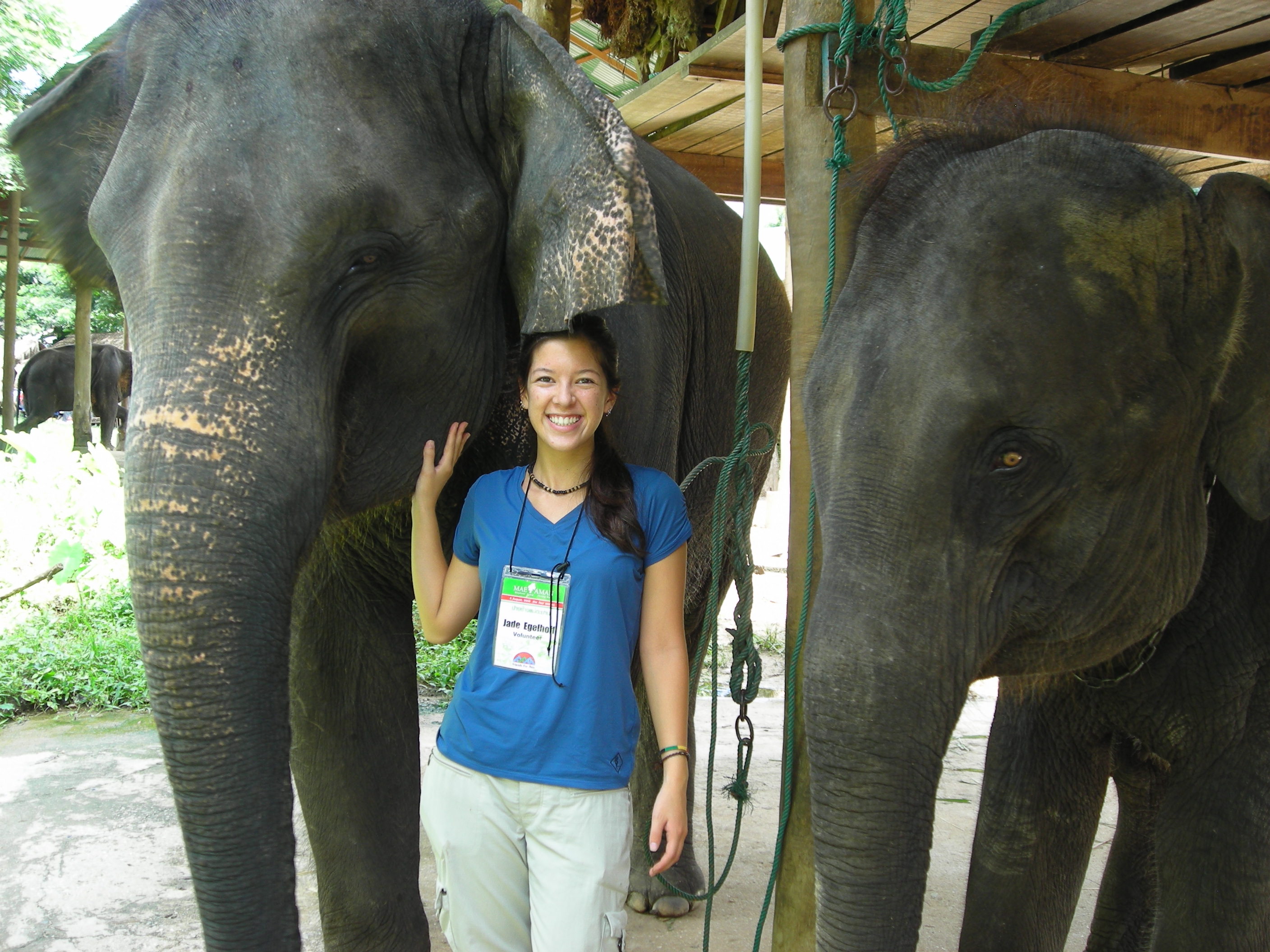 Thailand Elephant Camp Chiang Mai Two Friends