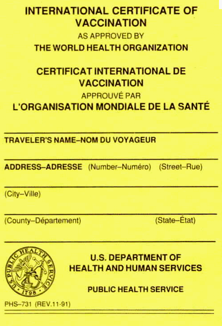 Yellow Fever Certificate for Volunteering Abroad